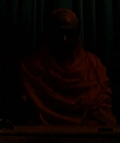 Meditations with Swami Tattvavidananda from 2020 Year-End Vedanta Course